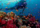 Les 10 meilleurs endroits pour faire de la plongée sous-marine